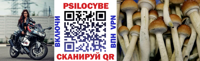 Галлюциногенные грибы прущие грибы  Карасук 